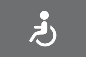 Wheelchair icon.